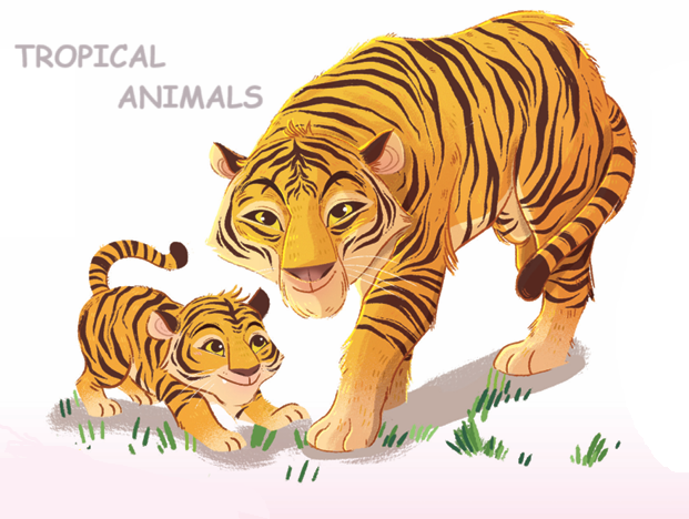 Tropical_Animals